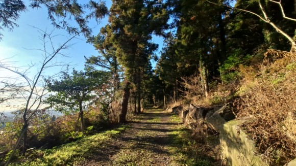 정물 당오름, 오름 그리고 금악오름 32