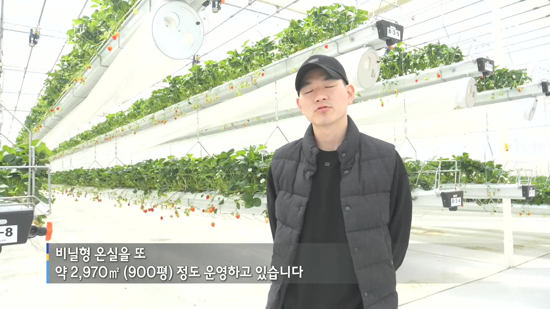 일요 특선 다큐멘터리.E348.240804p.H264-F1RST.mp4_20240805_195511.535.jpg