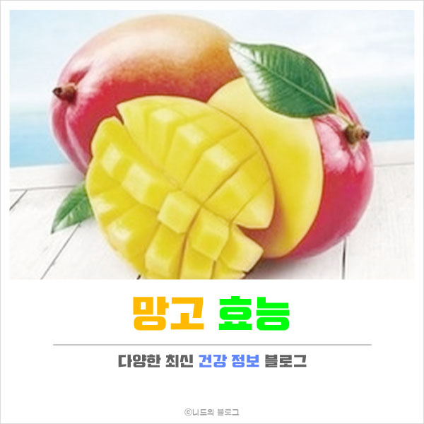  망고 효능 총정리!