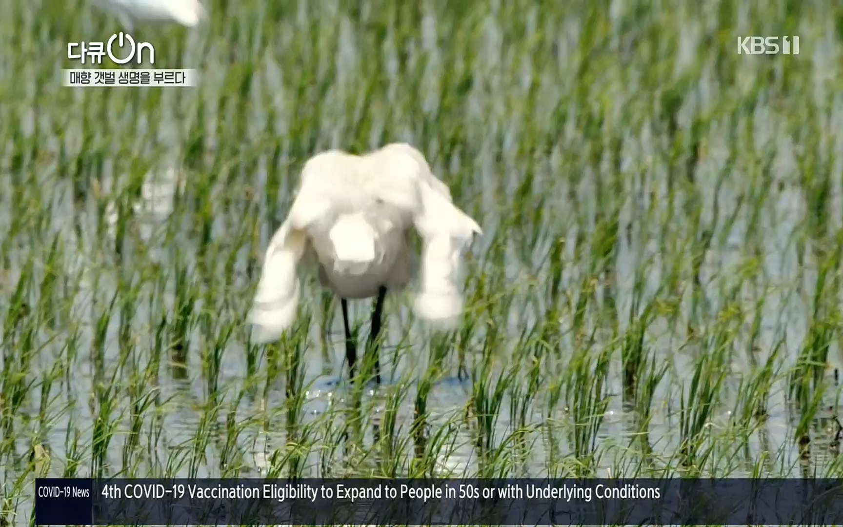 다큐 On.E151.220805p.H264-F1RST.mp4_20220806_193415.822.jpg