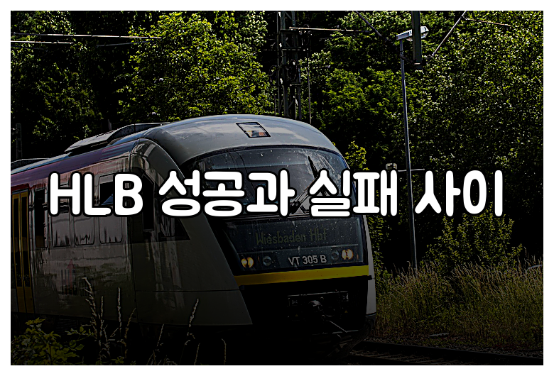 HLB 성공과 실패 사이