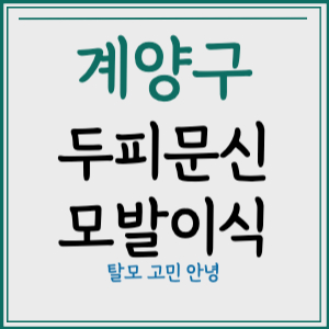 인천 계양구 두피문신 모발이식 가격
