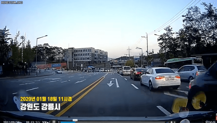  8차선 무단횡단녀