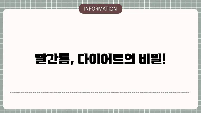 빨간통 다이어트 내돈내산