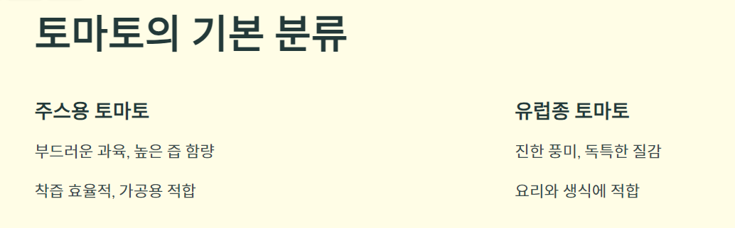 주스용 토마토와 유럽종 토마토 총정리