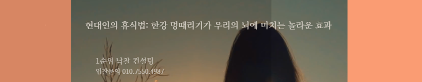  멍때리기의 힘: 한강에서 찾은 창의성과 뇌 건강의 비밀