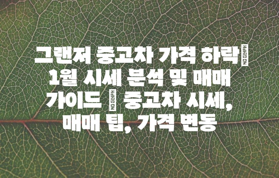 샘플 (43)