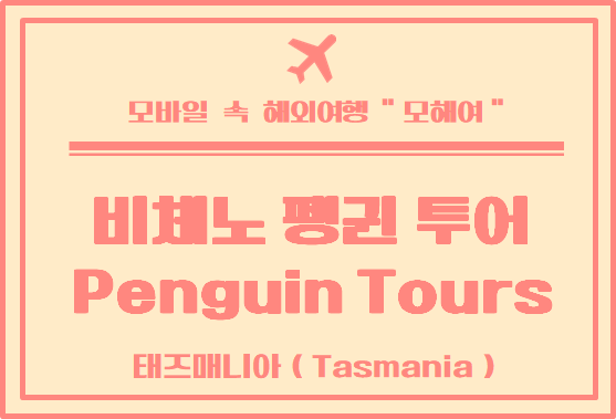  태즈매니아 여행 피체노 펭귄 투어 후기 (Bicheno Penguin Tours)