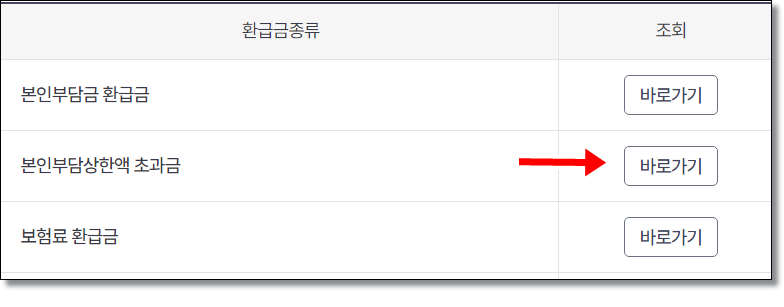 국민건강보험-2024년-본인부담상한액-초과금-조회