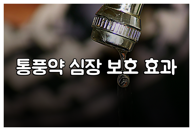 통풍약 심장 보호 효과