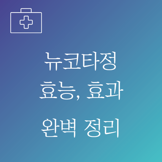 뉴코타정