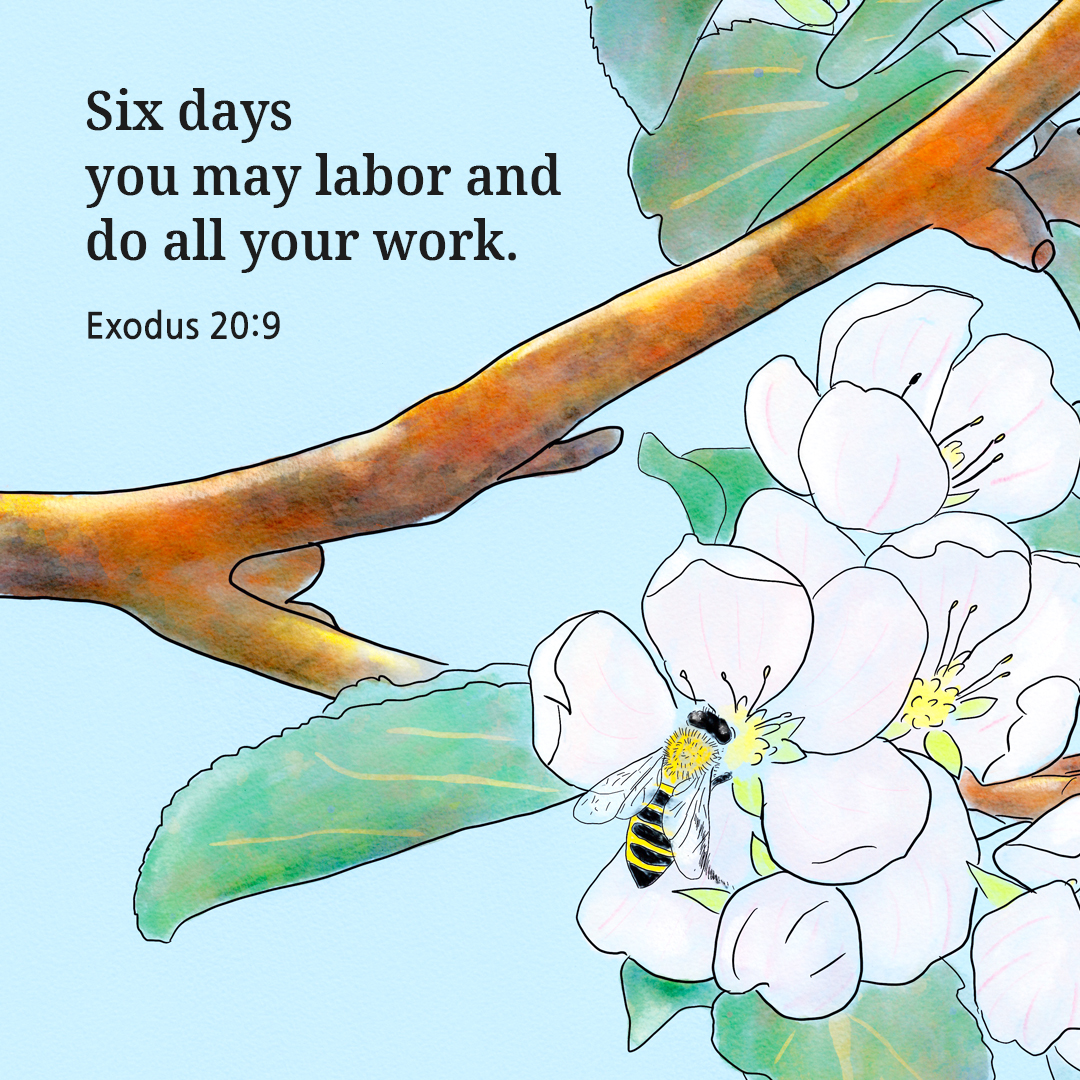Six days you may labor and do all your work. (Exodus 20:9)