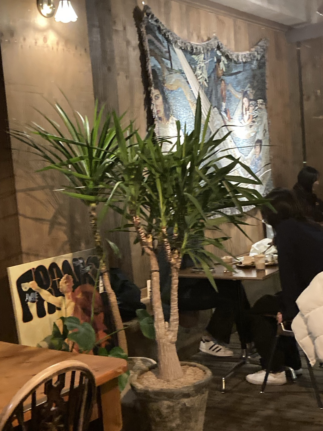 프랭크커핀바 이미지