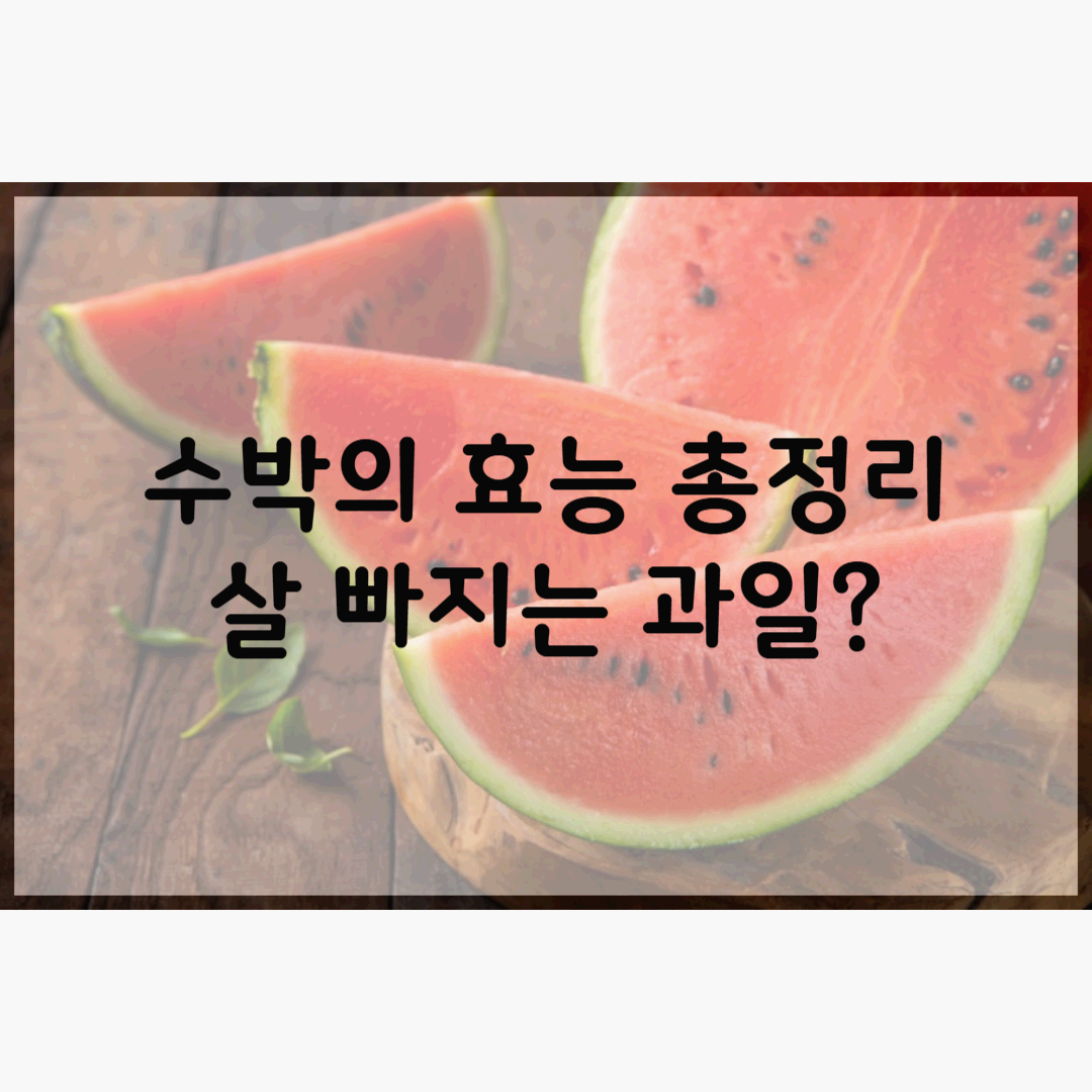 수박효능