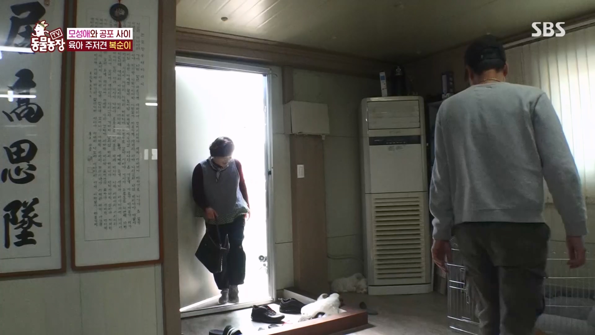 TV 동물농장.E1118.230423p.H264-F1RST.mp4_20230423_181110.119.jpg