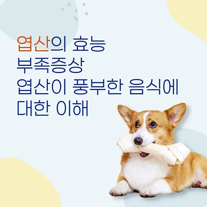  엽산의 효능, 부족증상, 그리고 엽산이 풍부한 음식에 대한 이해