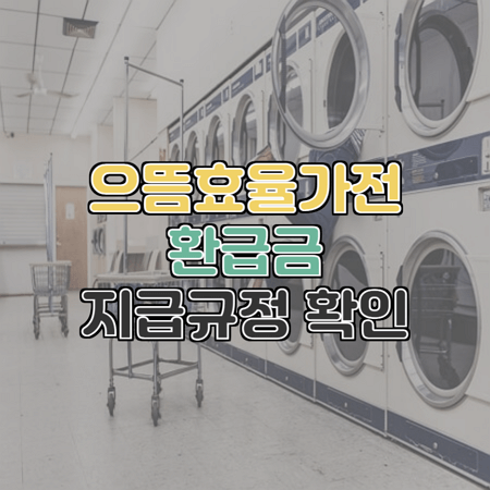  엘지전자 으뜸가전 환급금이 잘못 들어왔다?!