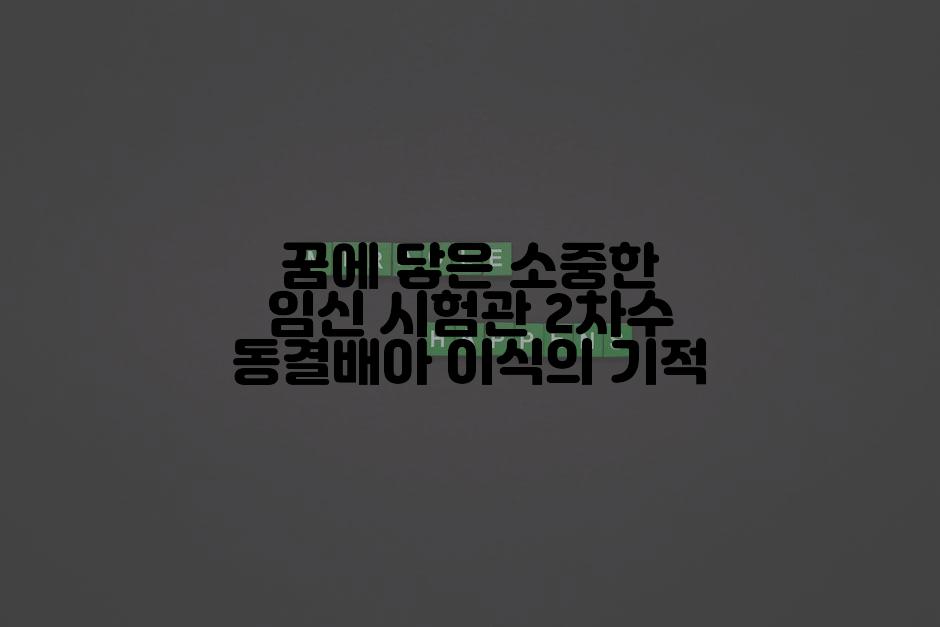 꿈에 닿은 소중한 임신 시험관 2차수 동결배아 이식의 기적