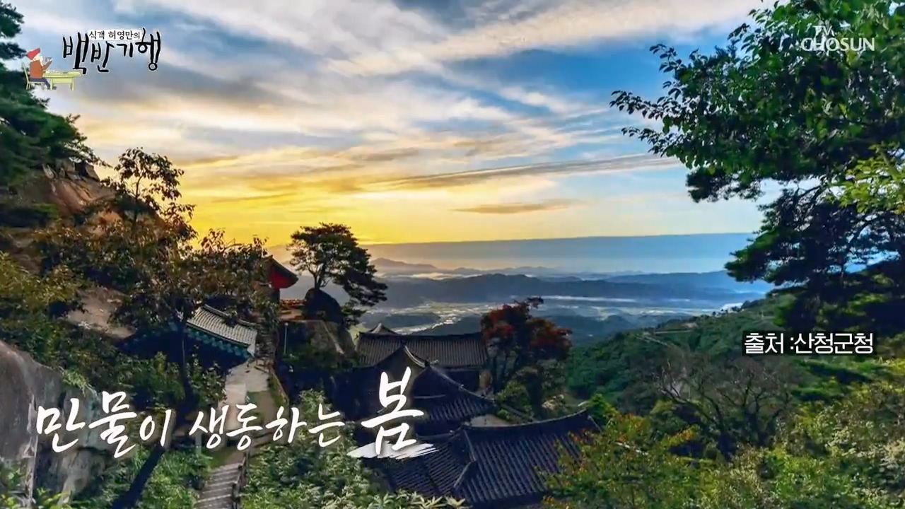 식객 허영만의 백반기행.E241.240332p-NEXT.mp4_20240401_195031.304.jpg