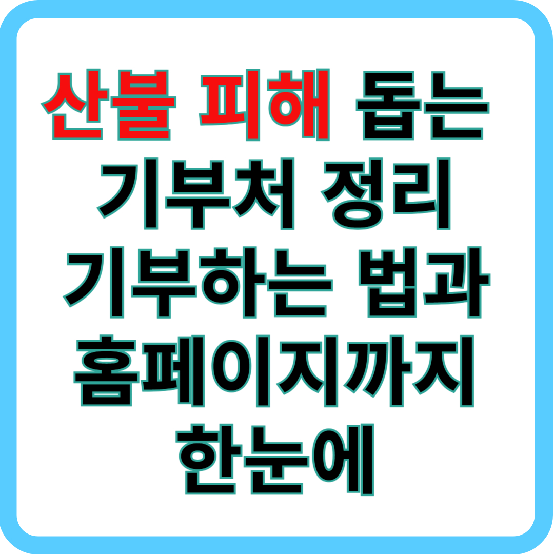 산불메인사진