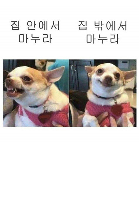   뚜뚜월드