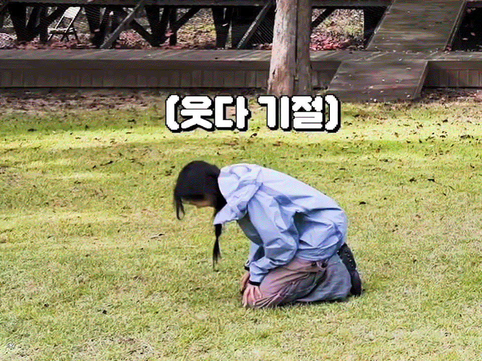 img.gif