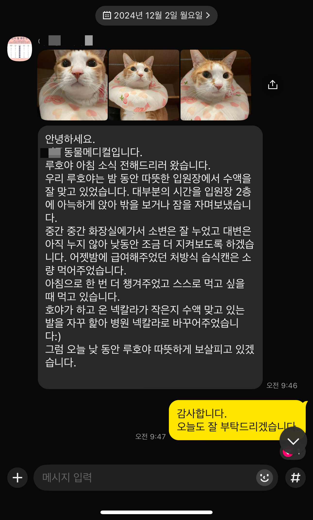 병원에서_온_호야_아침소식