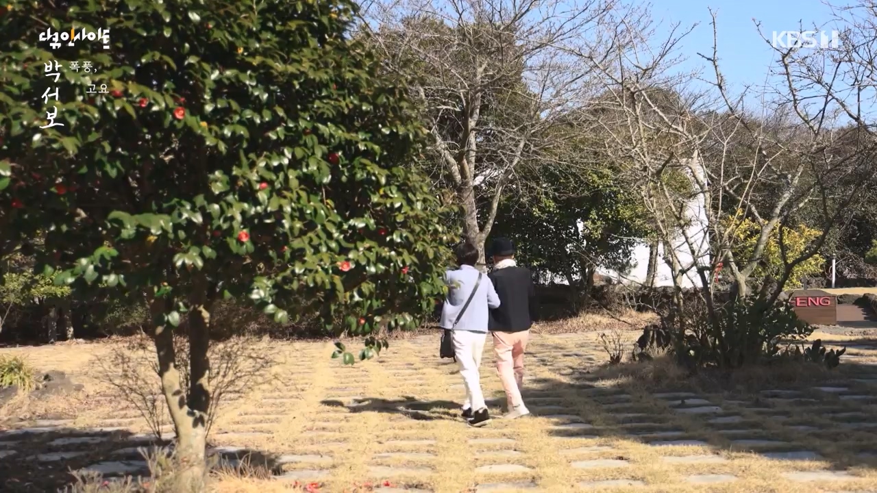 다큐 인사이트.E167.231103p-NEXT.mp4_20231103_200431.732.jpg