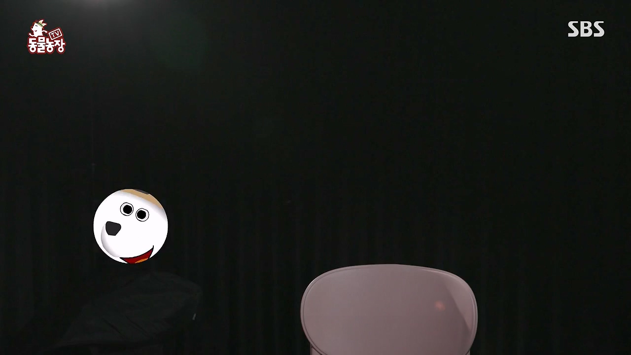 TV 동물농장.E1138.230918p-NEXT.mp4_20230917_174243.973.jpg