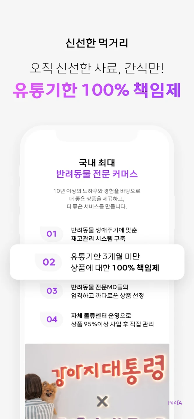 강아지대통령 살펴보기 10