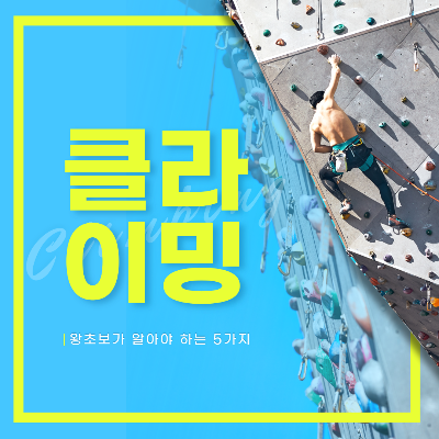  첫 클라이밍 도전! 왕초보가 알아야 하는 5가지