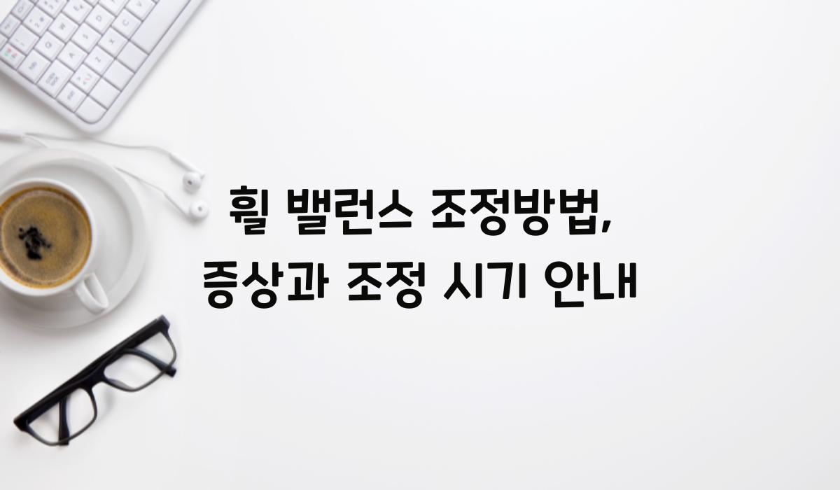 휠 밸런스 조정방법