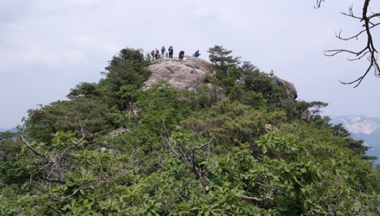 대야산 봄꽃축제 및 등산코스