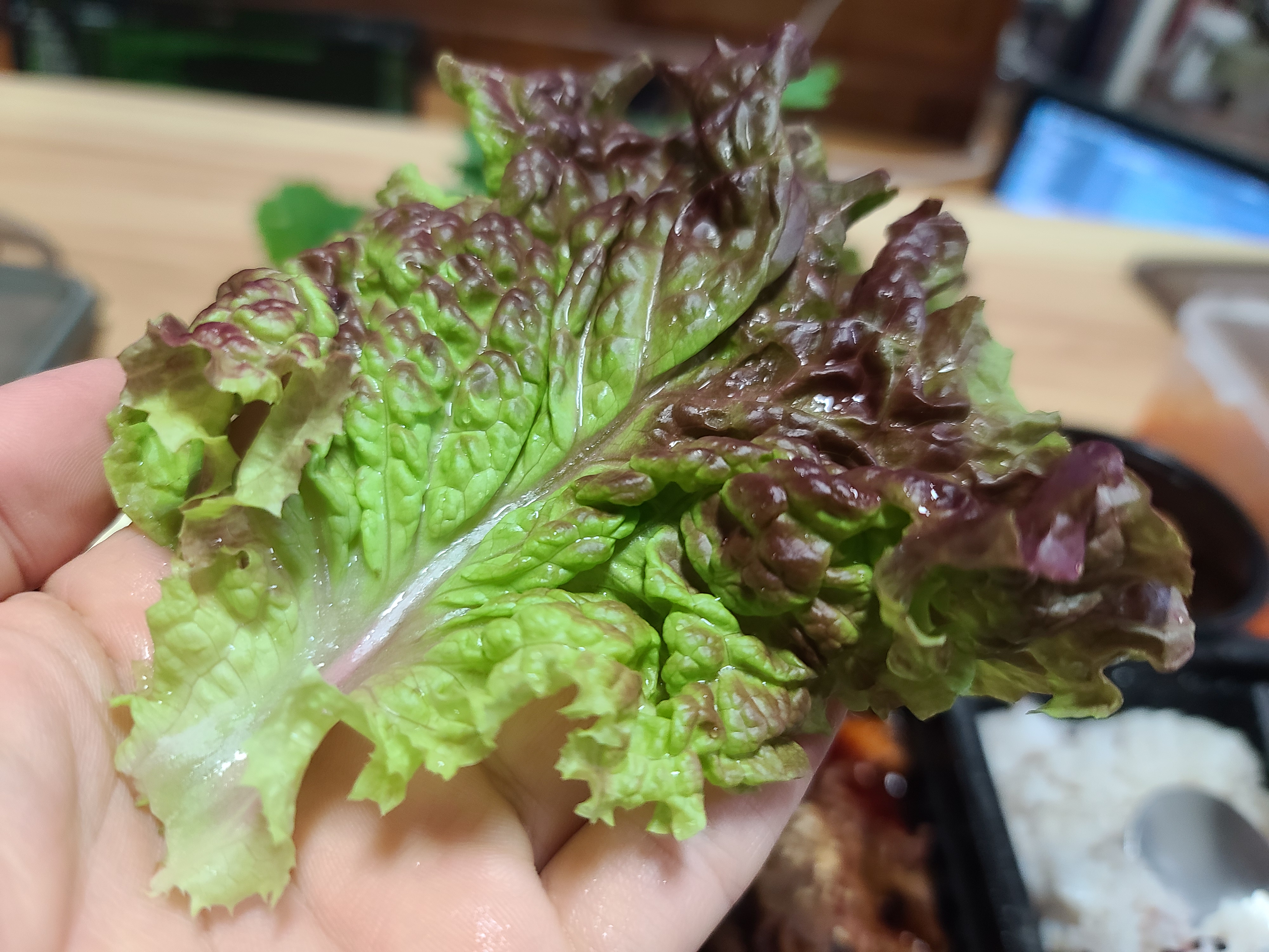 First&#44; put lettuce on your palm. Lettuce is the basis of a Ssam that covers all food.