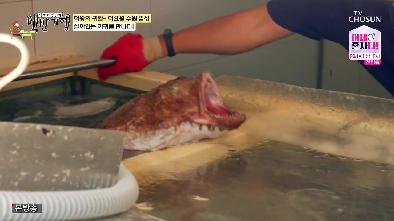 식객 허영만의 백반기행.E255.240708p-NEXT.mp4_20240708_193818.854.jpg