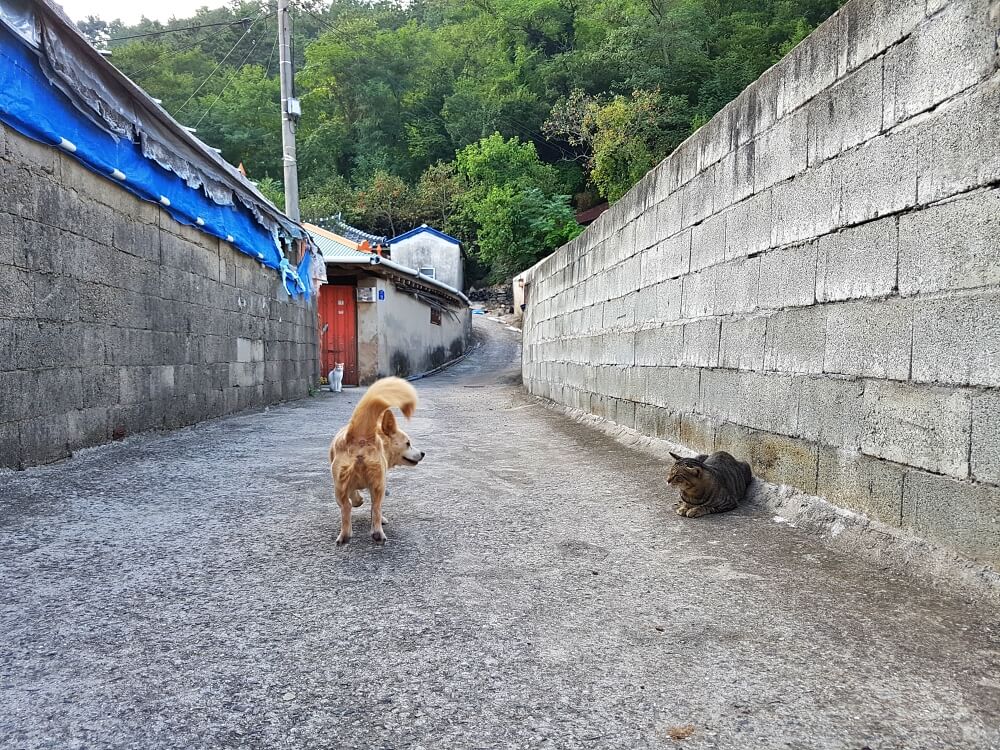  전남 강진군 마량면 하분마을