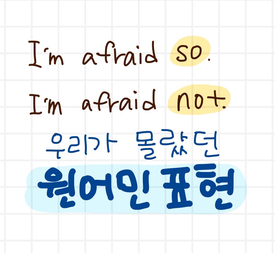 I&#39;m afraid so / I&#39;m afraid not