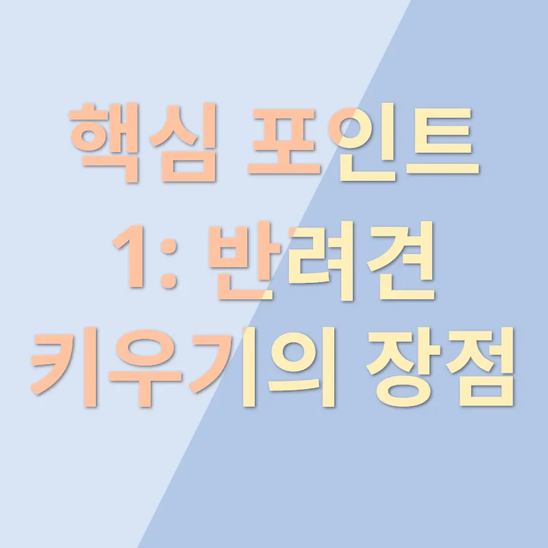 골든리트리버 분양_1