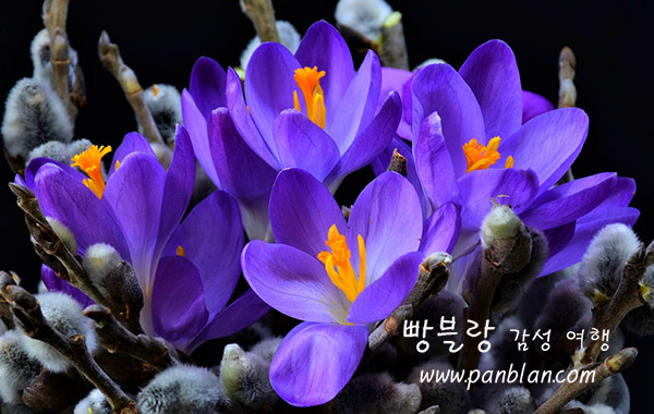 오늘의우리 이미지