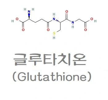 글루타치온