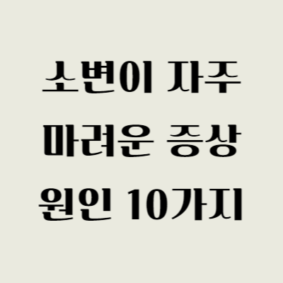 소변이 자주 마려운 증상 원인 10가지 총정리