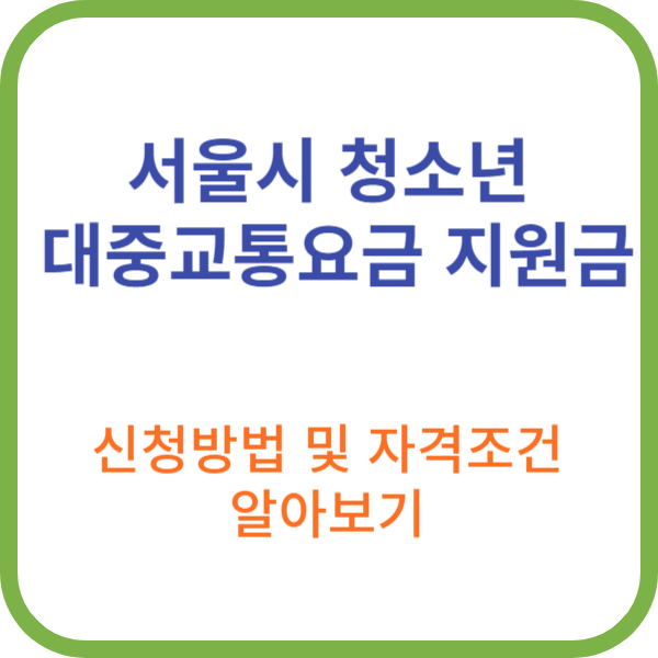 서울시 청소년 대중교통요금 지원금