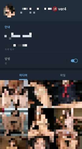  유명 女아이돌 딥페이크' 텔레그램방 확인…경찰 "엄정 수사"