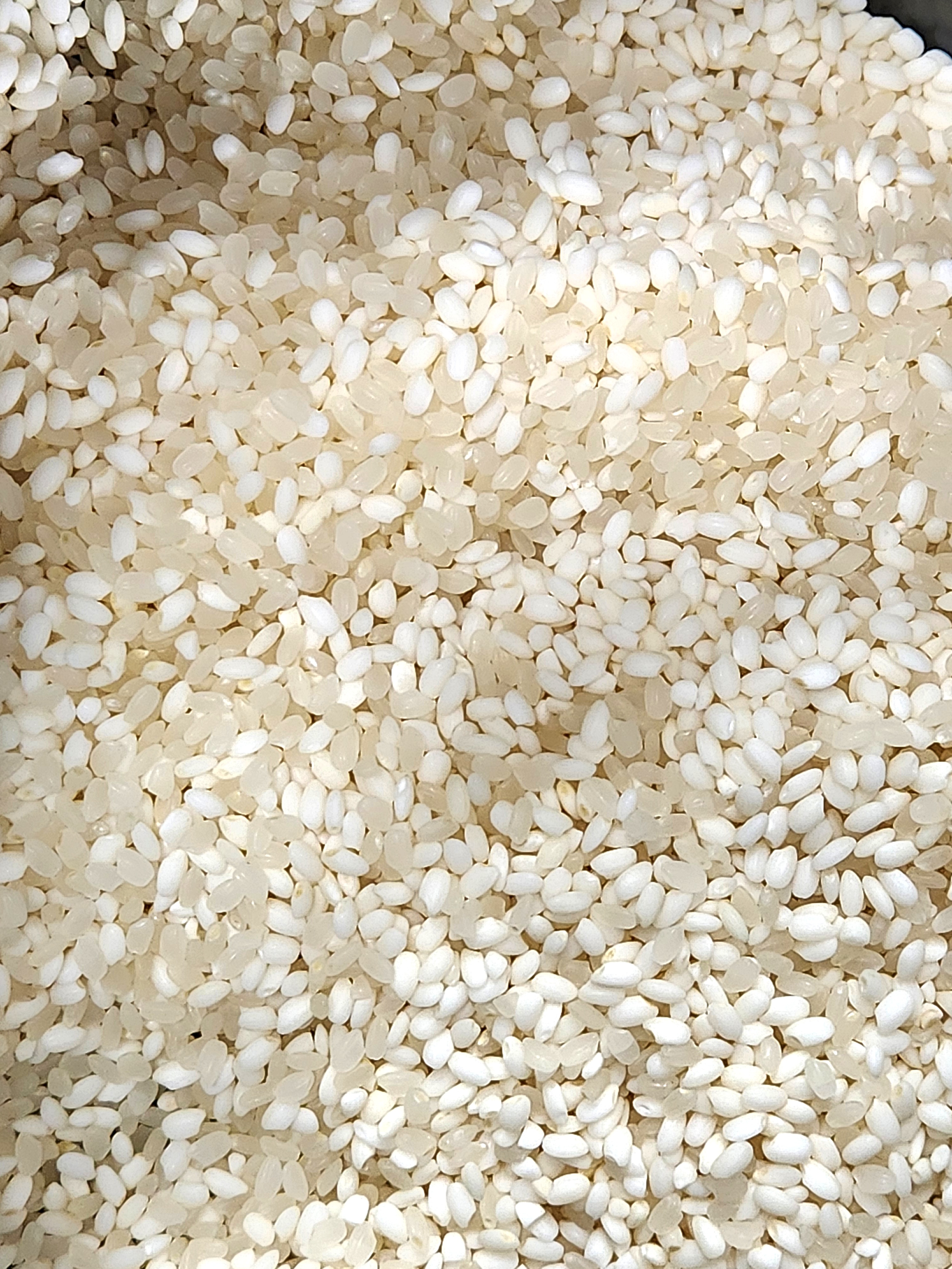 찹쌀과 맵쌀 차이 비교