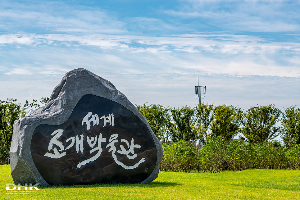 국내 1박2일 여름 여행 추천1박2일 서해 섬여행 신안 가볼만한곳 자은도 1004뮤지엄파크 세계조개박물관, 해바라기 18