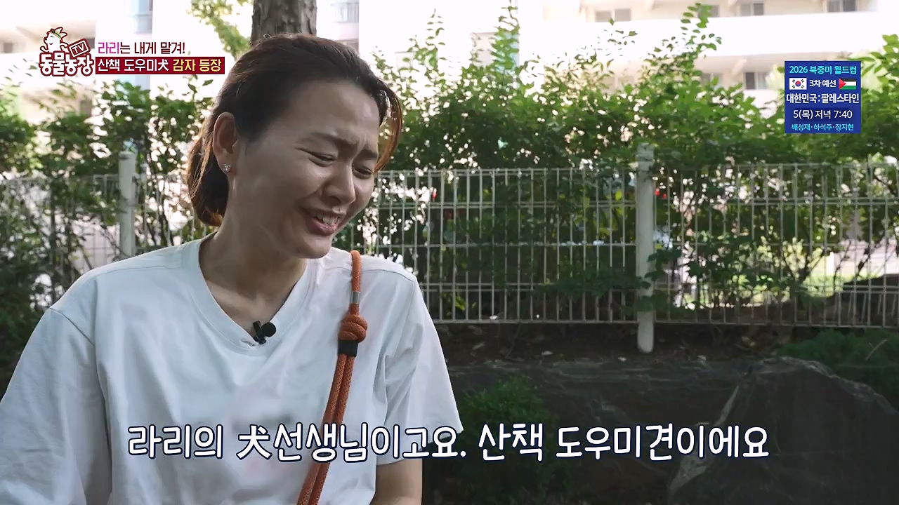 TV 동물농장.E1187.240902p-NEXT.mp4_20240901_155451.959.jpg