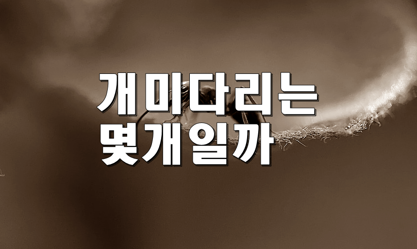  개미 다리 몇개일까?