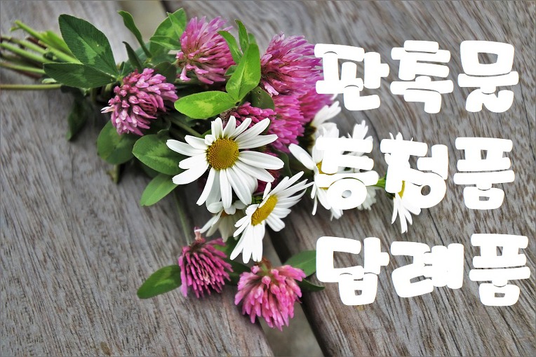  고급판촉선물 믿을 수 있는 사이트
