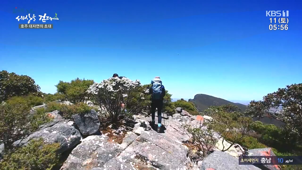 트레킹노트 세상을 걷다.E296.231112p-NEXT.mp4_20231111_182059.959.jpg