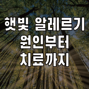 햇빛 알레르기 원인 증상 예방 치료 알아보기